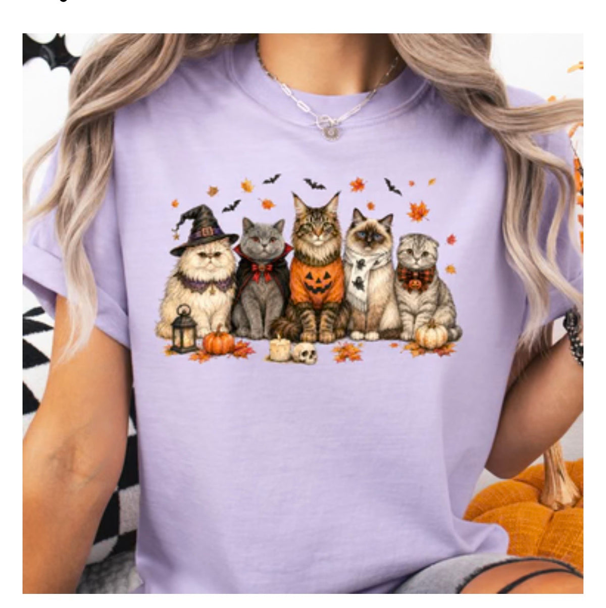 halloween cats