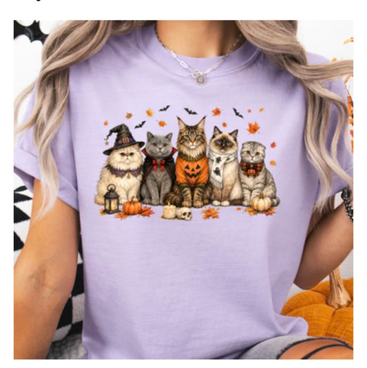 halloween cats